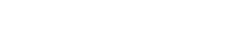 Foil Sensation logo - Overboat - E-foil 1